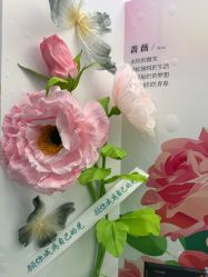 -JUVA欧华医美连锁