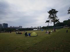 -紫马岭公园