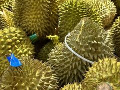 -麦德龙(浦东店)