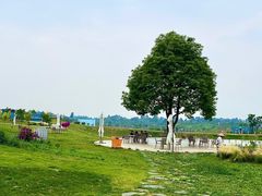 -空港花田景区