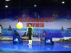 -重庆欢乐海底世界