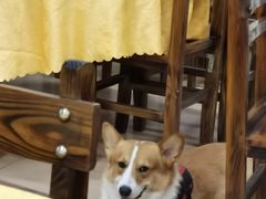 -鹿福农庄(南沙天后宫店)