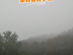 -牛背梁国家森林公园