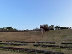 -西京湾花海