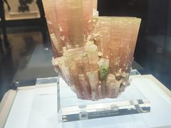 -安徽省地质博物馆