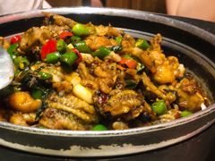 青椒紫苏锅-蛙小侠(珠海华发商都店)