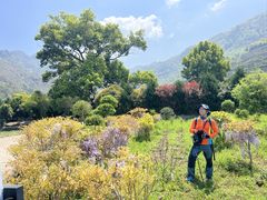 -楠溪江风景名胜区