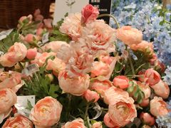 -宜家家居(高新商场店)