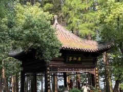 -东湖落雁景区
