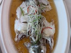 -老洋房花园饭店(绍兴路店)