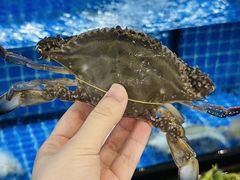 -碧海银沙海鲜餐厅(恒大海上威尼斯店)
