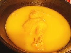 -鲜入围煮花胶鸡海鲜火锅