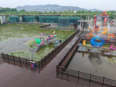 -滕州微山湖红荷湿地景区