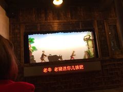 -乌镇东栅景区-应家桥皮影戏馆