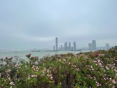 -深圳阳光酒店