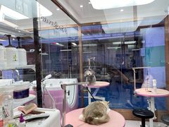 -FAELING PETS美天灵宠物(富力广场店)