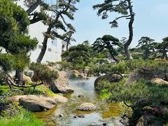 -罗红摄影艺术馆