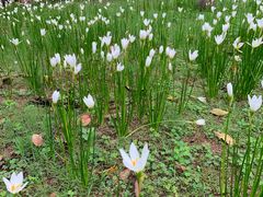 -三江森林温泉度假区