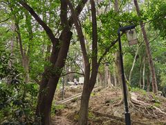 -昭山风景名胜区