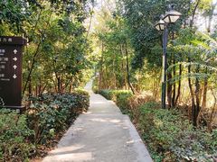 -梅州天地人花园酒店(梅县人民广场店)