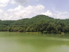 -广州白江湖森林公园