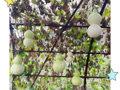 -中国天府农业博览园