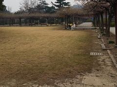 -嘉定紫藤园