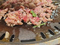 -杨小佳·齐齐哈尔烤肉·烤串(广州店)