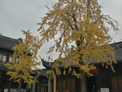 -无锡惠山寺