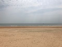 -日照海滨国家森林公园
