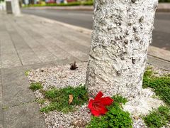 -烈士陵园(地铁站)