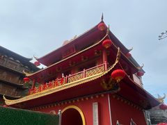 -越秀西湖花市(广州城市广场花卉店)