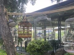 -蘇河湾·新鲁菜·泰山宴(泰山店)