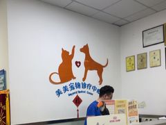 -美美宠物诊疗中心·异宠·骨科(滨江东信分院)
