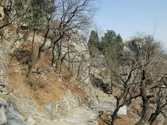 -北京鹫峰国家森林公园