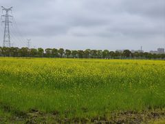 -嘉北郊野公园