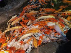 -海合安青岛极地海洋公园