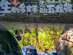 -宁波五龙潭景区