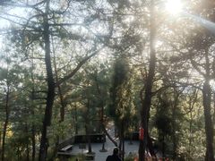 -千岛湖天屿景区