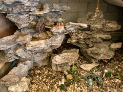 -固元堂(摩方分院)