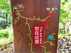 -梧桐山风景名胜区