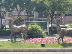 -丰台花园