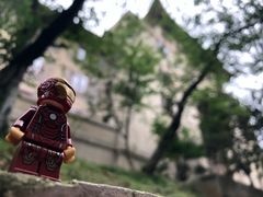 -武汉大学-樱园