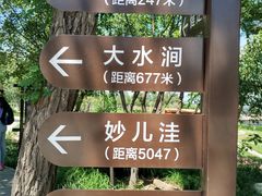 -阳台山自然风景区