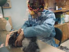 -宠物兔专门店(天丰利市场店)