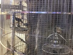 -东四民芳餐厅(世茂工三店)