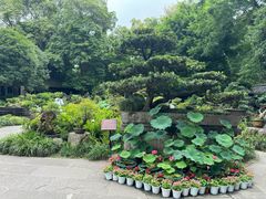 -成都杜甫草堂博物馆