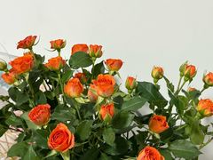 -谷田稻香·砂锅菜(元洪店)