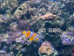 -欢乐海岸海洋奇梦馆