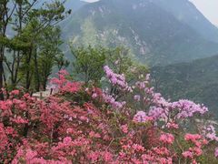-木兰云雾山